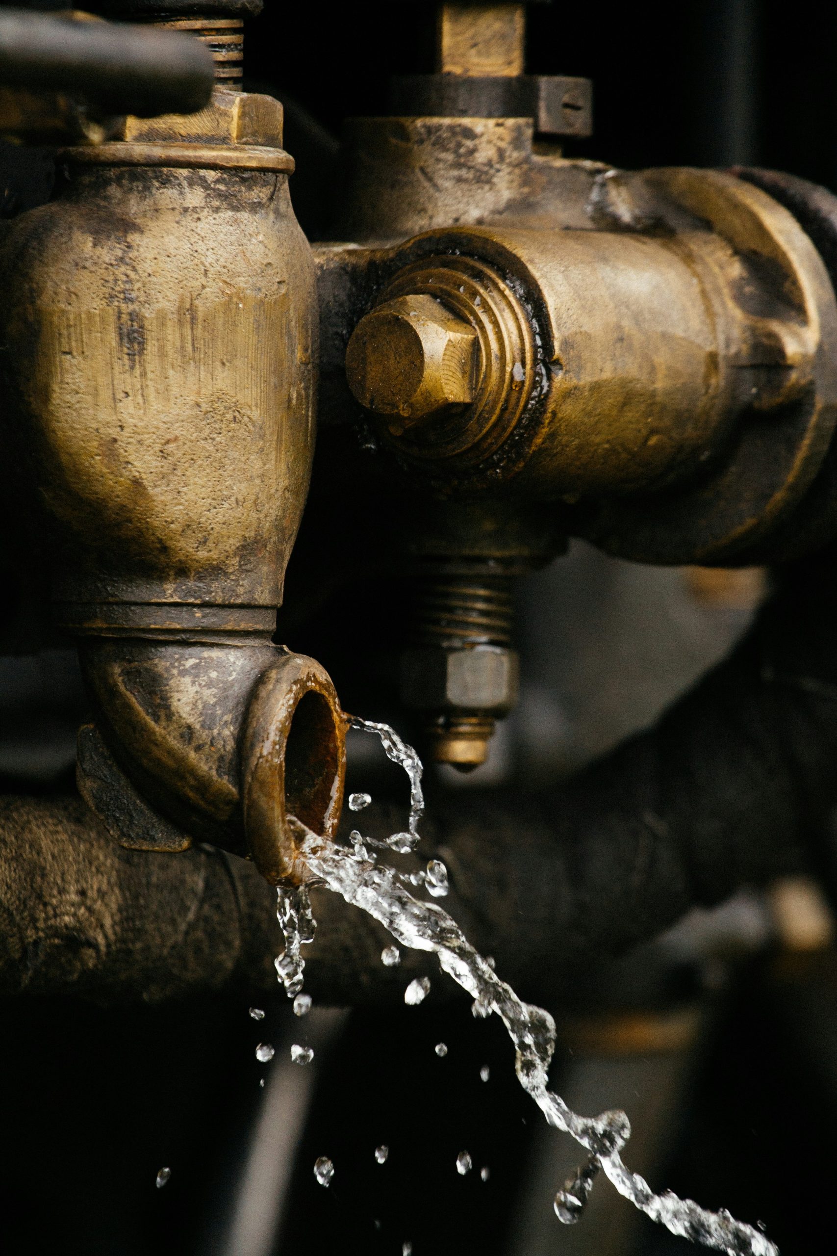 Water Conservation for Septic Owners: Protecting Your System and Your Wallet