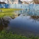 flooded yard due to hydraulic overload